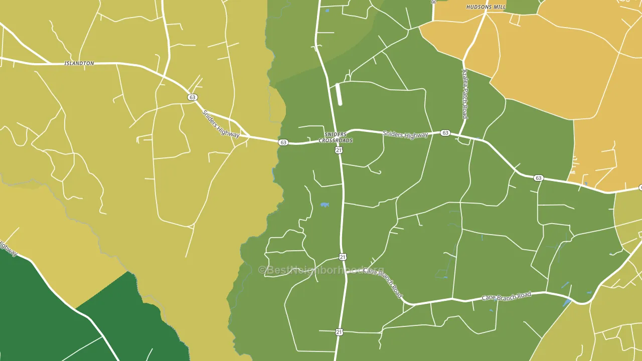 Sniders Crossroads, SC block-group voter-turnout map