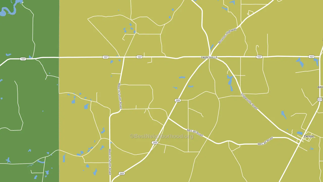Snipesville, GA block-group voter-turnout map