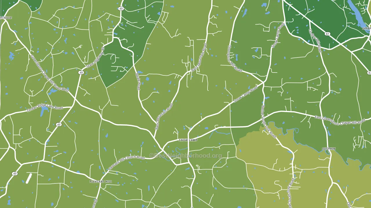 Snow Camp, NC block-group voter-turnout map