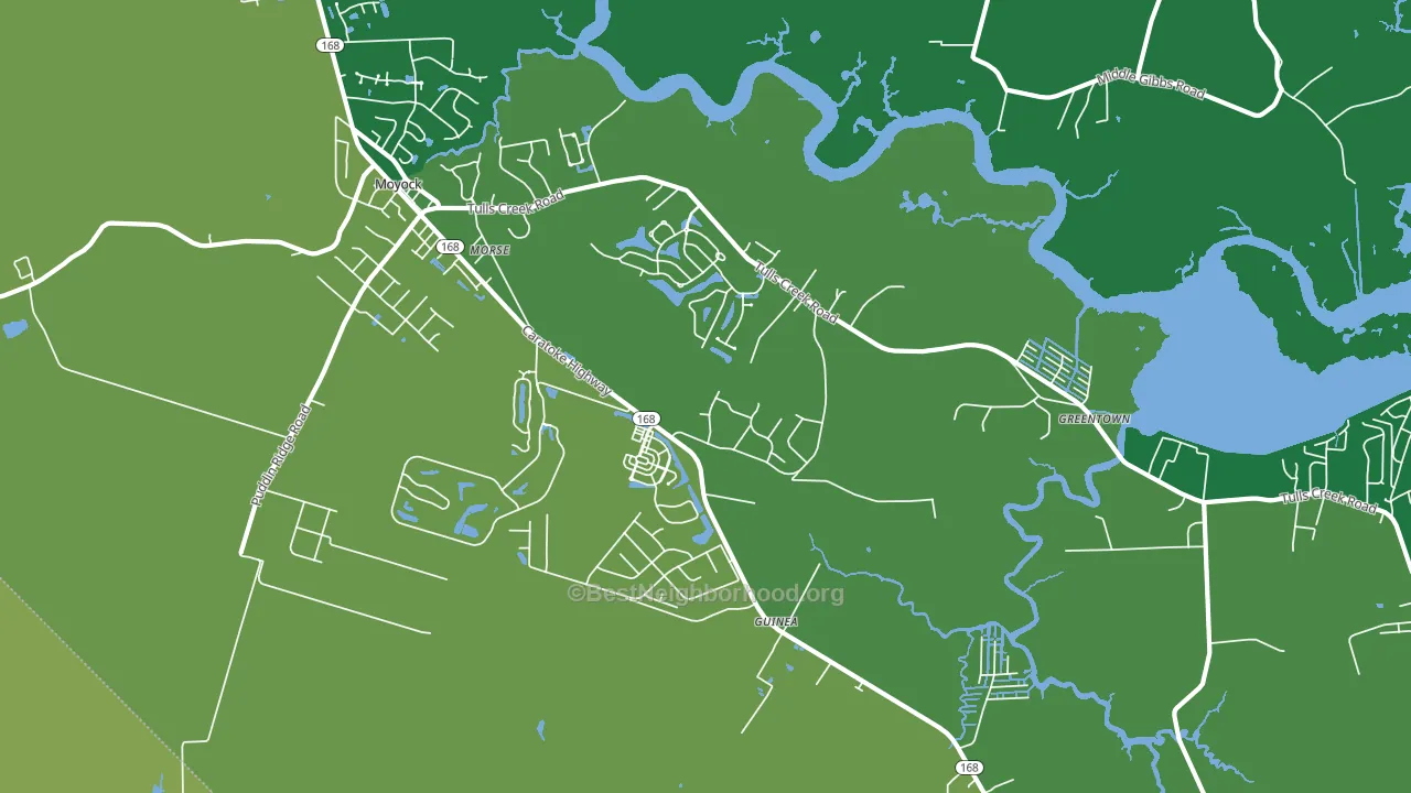Snowden, NC block-group voter-turnout map