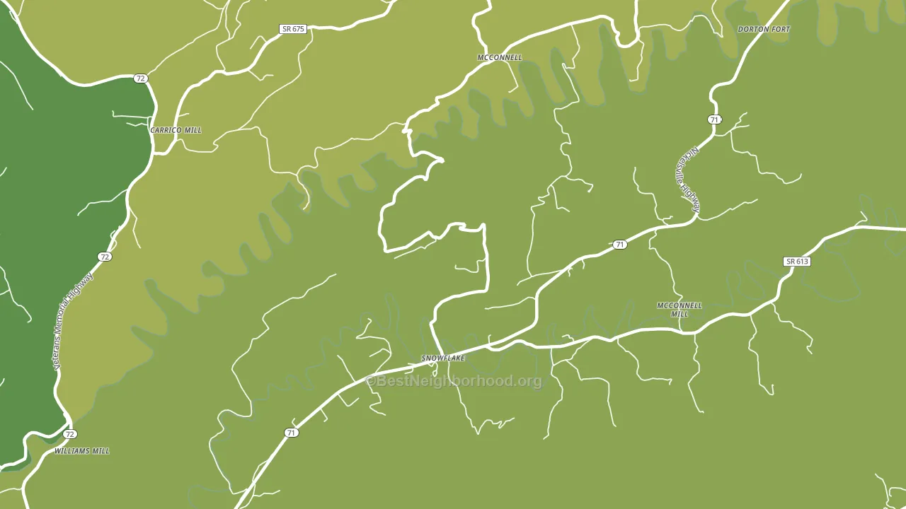 Snowflake, VA block-group voter-turnout map