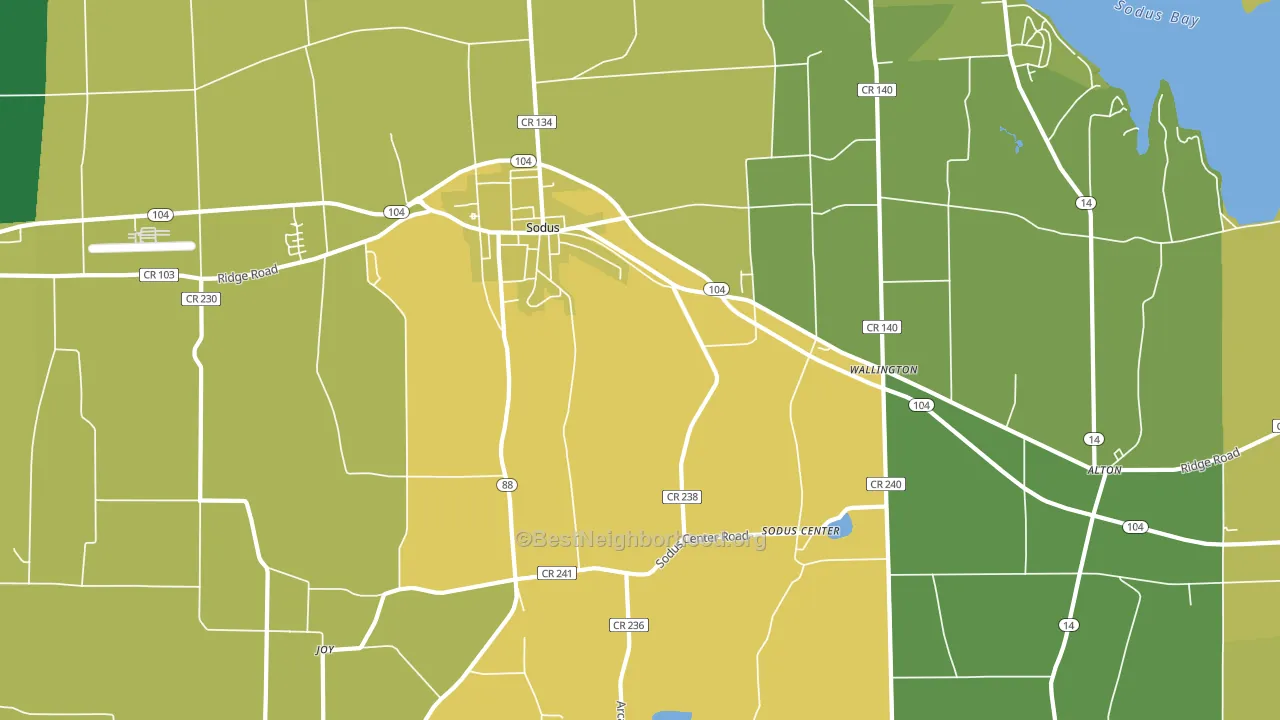 Sodus, NY block-group voter-turnout map