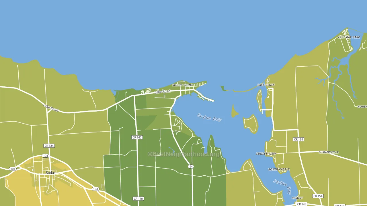 Sodus Point, NY block-group voter-turnout map