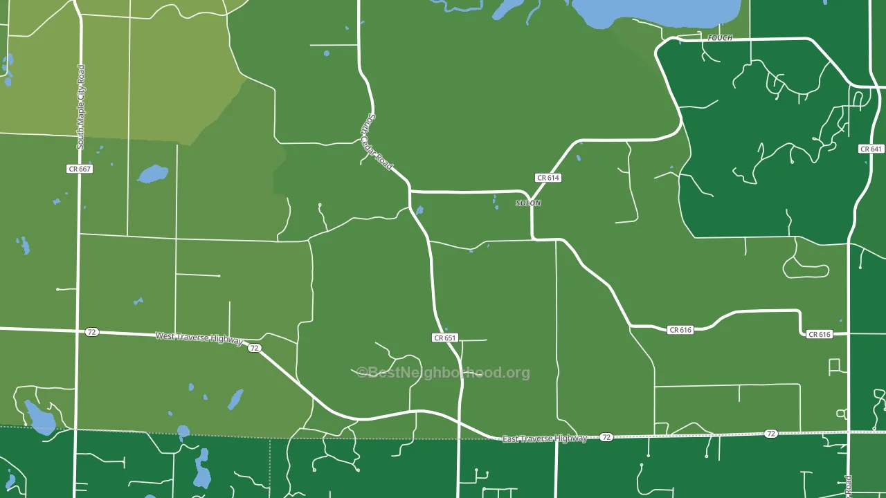 Solon, MI block-group voter-turnout map