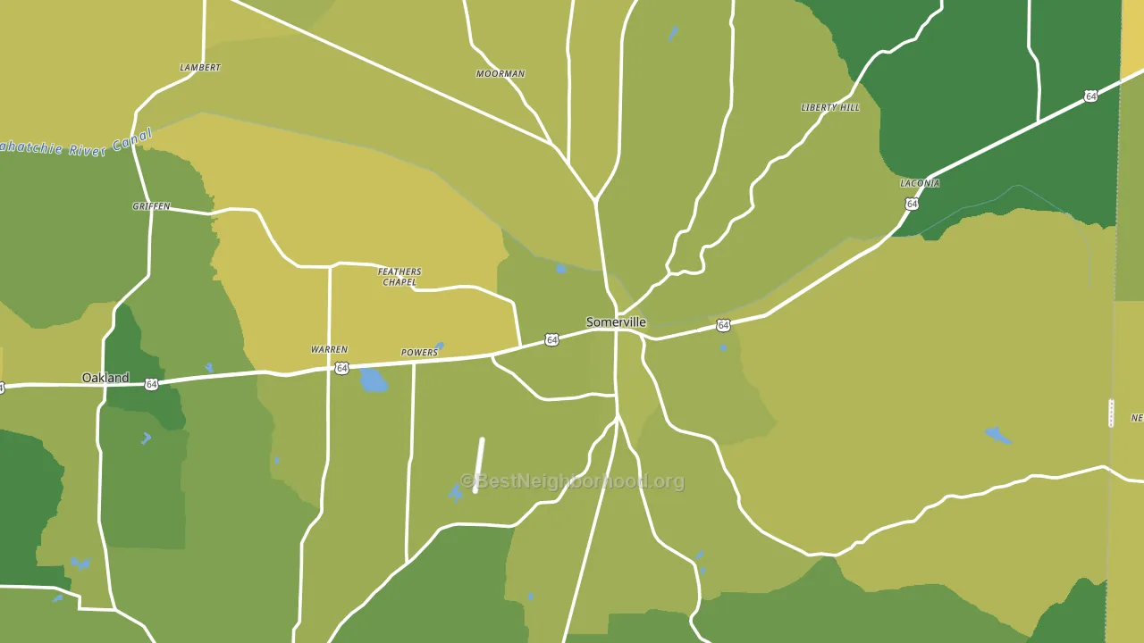 Somerville, TN block-group voter-turnout map