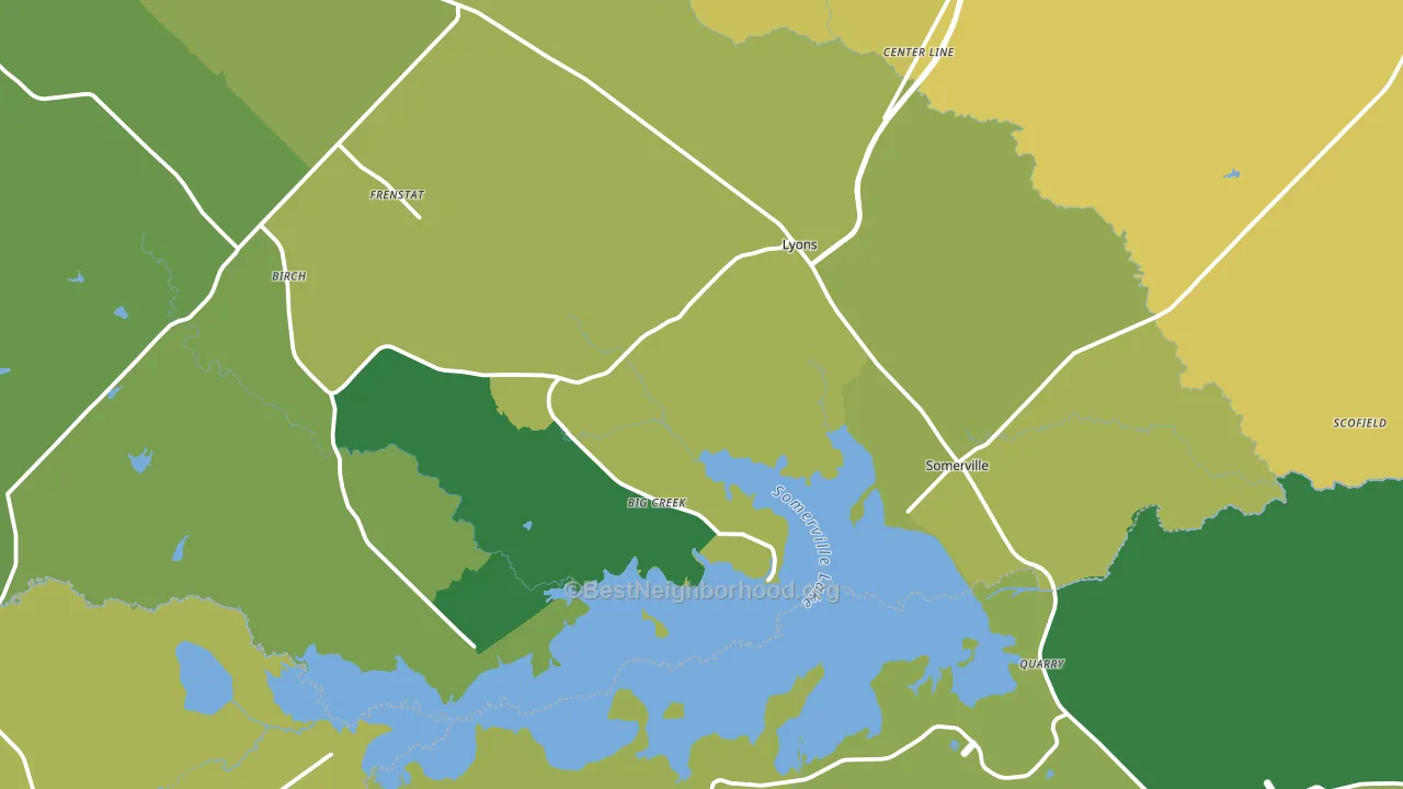 Somerville, TX block-group voter-turnout map
