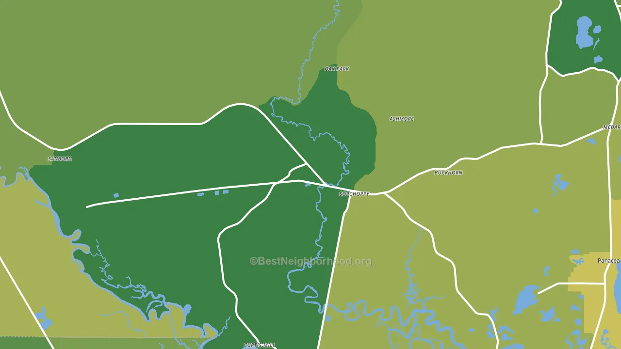 Sopchoppy, FL block-group voter-turnout map