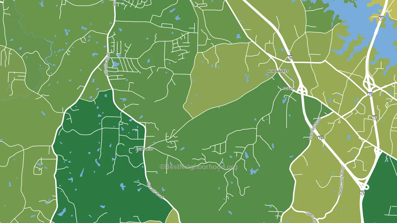 Sophia, NC block-group voter-turnout map