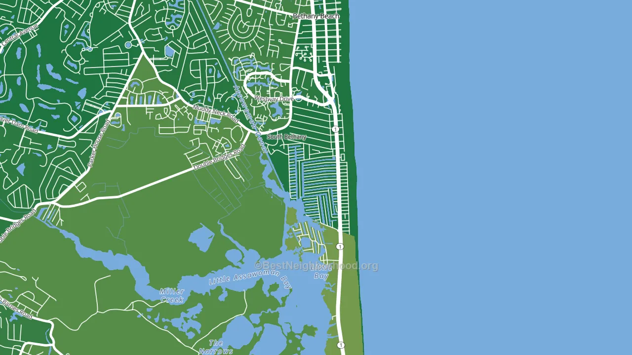 South Bethany, DE block-group voter-turnout map