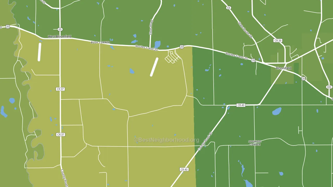South Bloomfield, NY block-group voter-turnout map