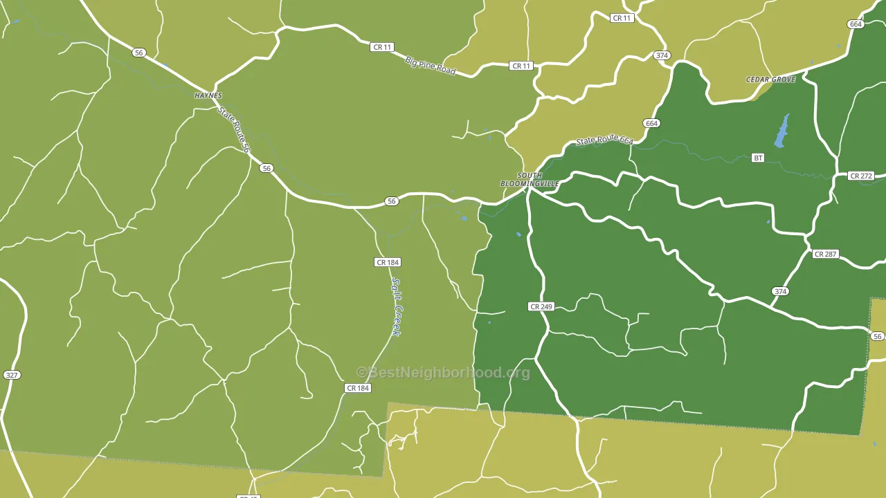 South Bloomingville, OH block-group voter-turnout map