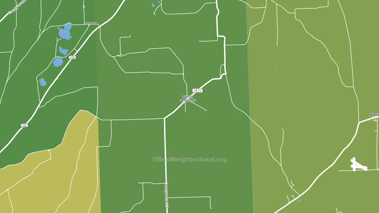 South Bradford, NY block-group voter-turnout map