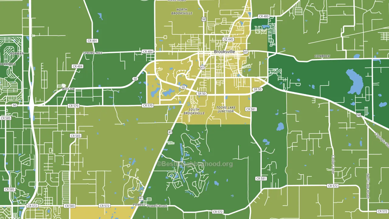 South Brooksville, FL block-group voter-turnout map