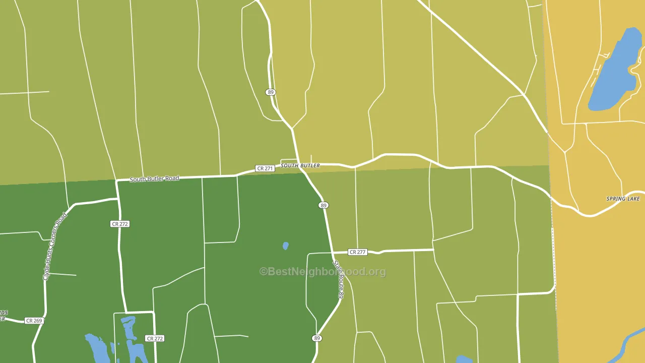 South Butler, NY block-group voter-turnout map