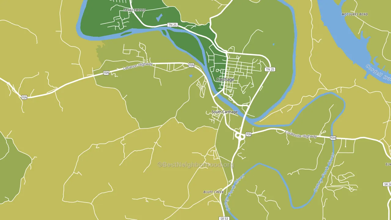 South Carthage, TN block-group voter-turnout map