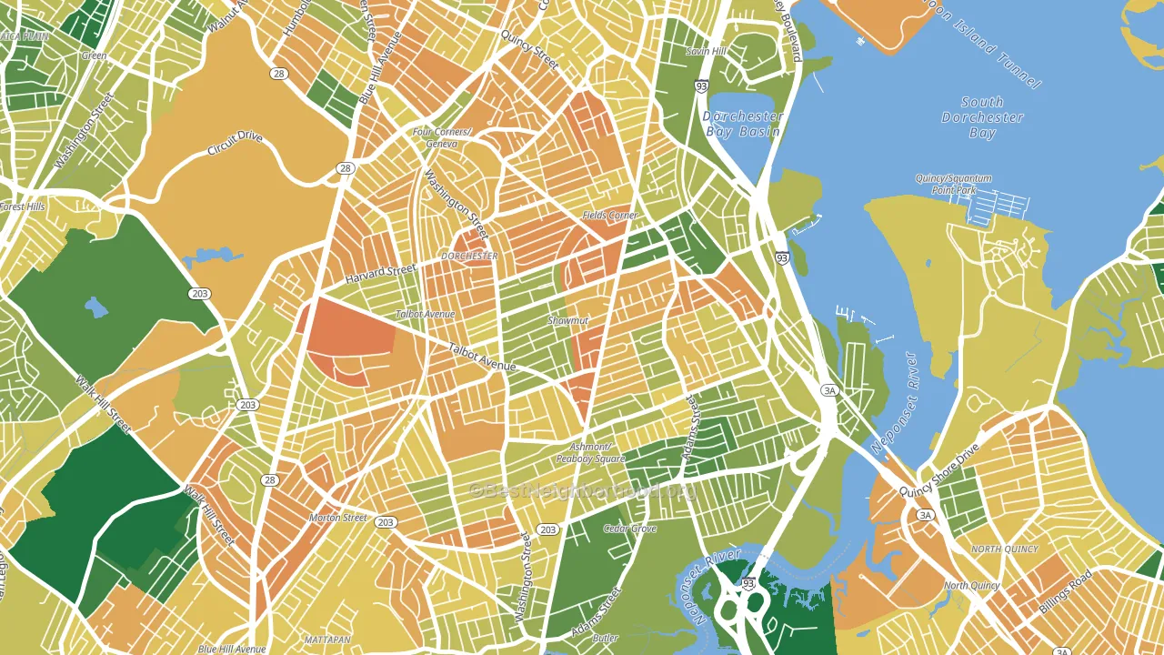 South Dorchester, Boston, MA block-group voter-turnout map