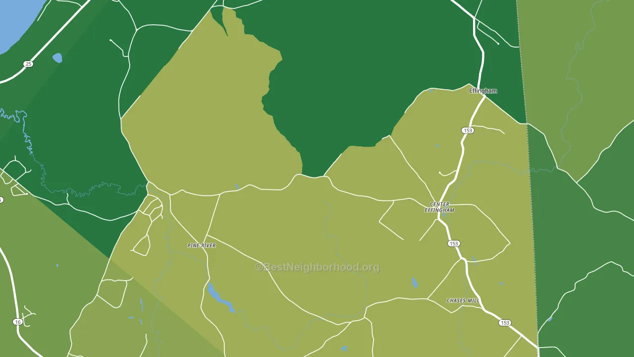 South Effingham, NH block-group voter-turnout map
