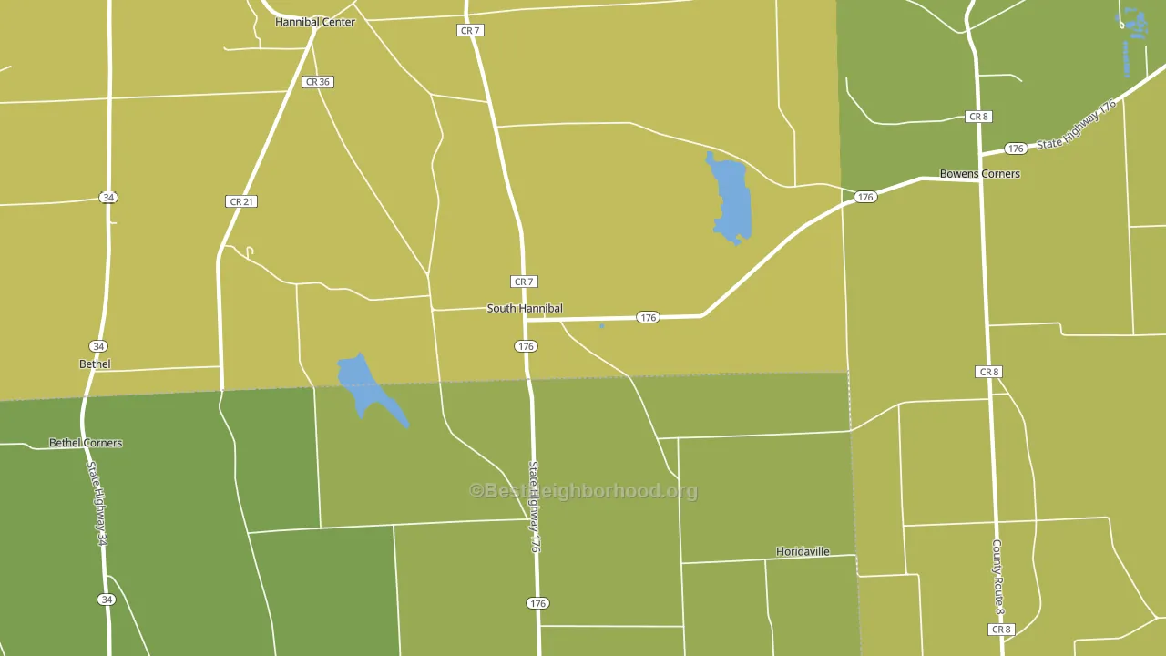South Hannibal, NY block-group voter-turnout map