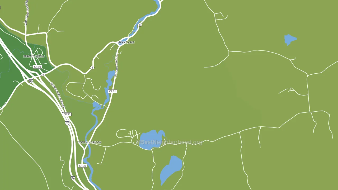 South Horicon, NY block-group voter-turnout map