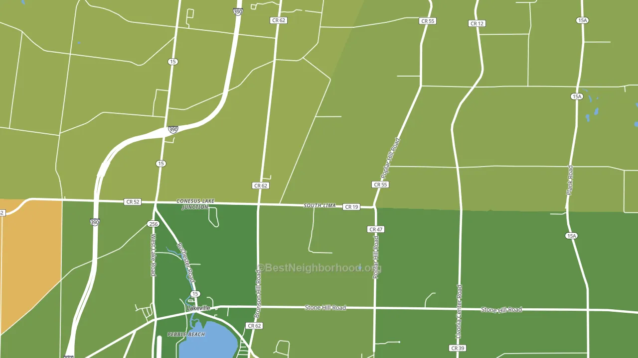 South Lima, NY block-group voter-turnout map
