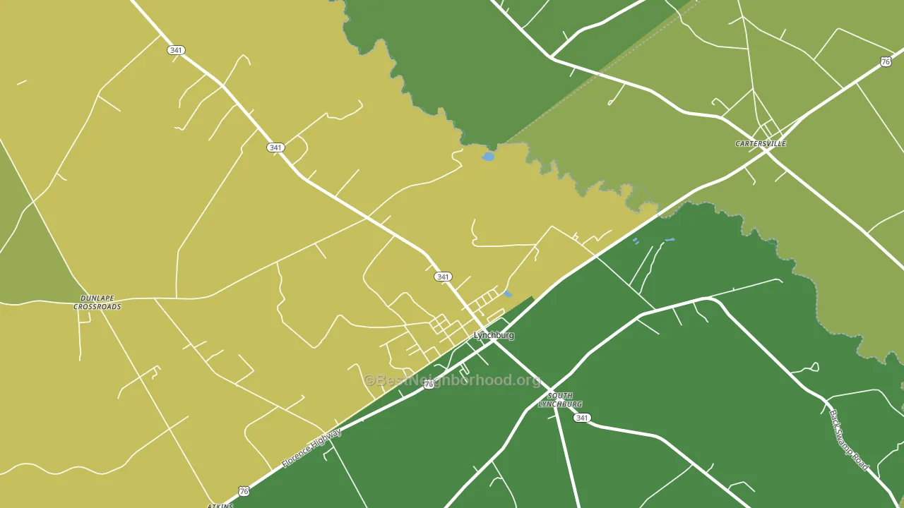 South Lynchburg, SC block-group voter-turnout map