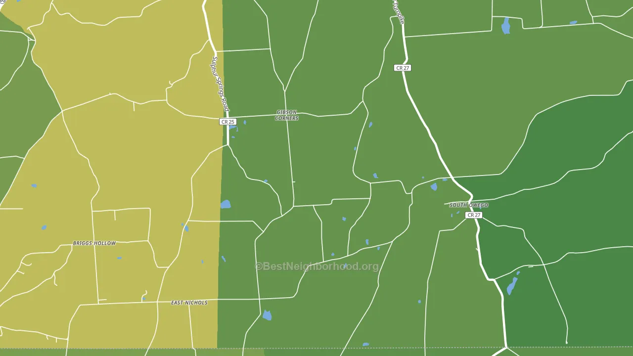 South Owego, NY block-group voter-turnout map
