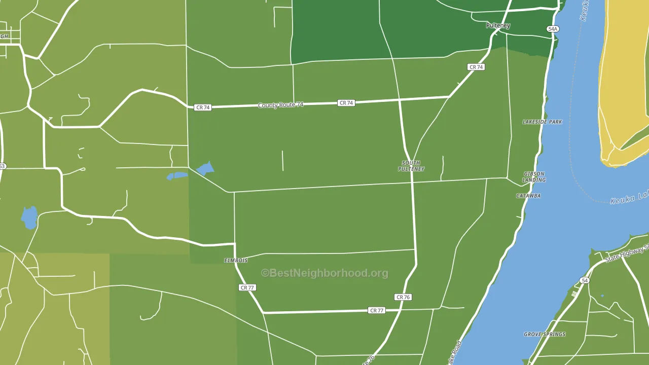 South Pulteney, NY block-group voter-turnout map