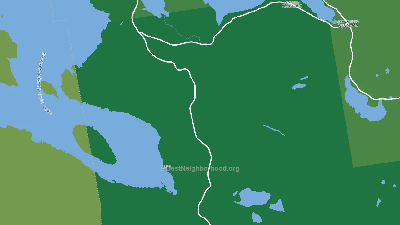 South Rangeley, ME block-group voter-turnout map