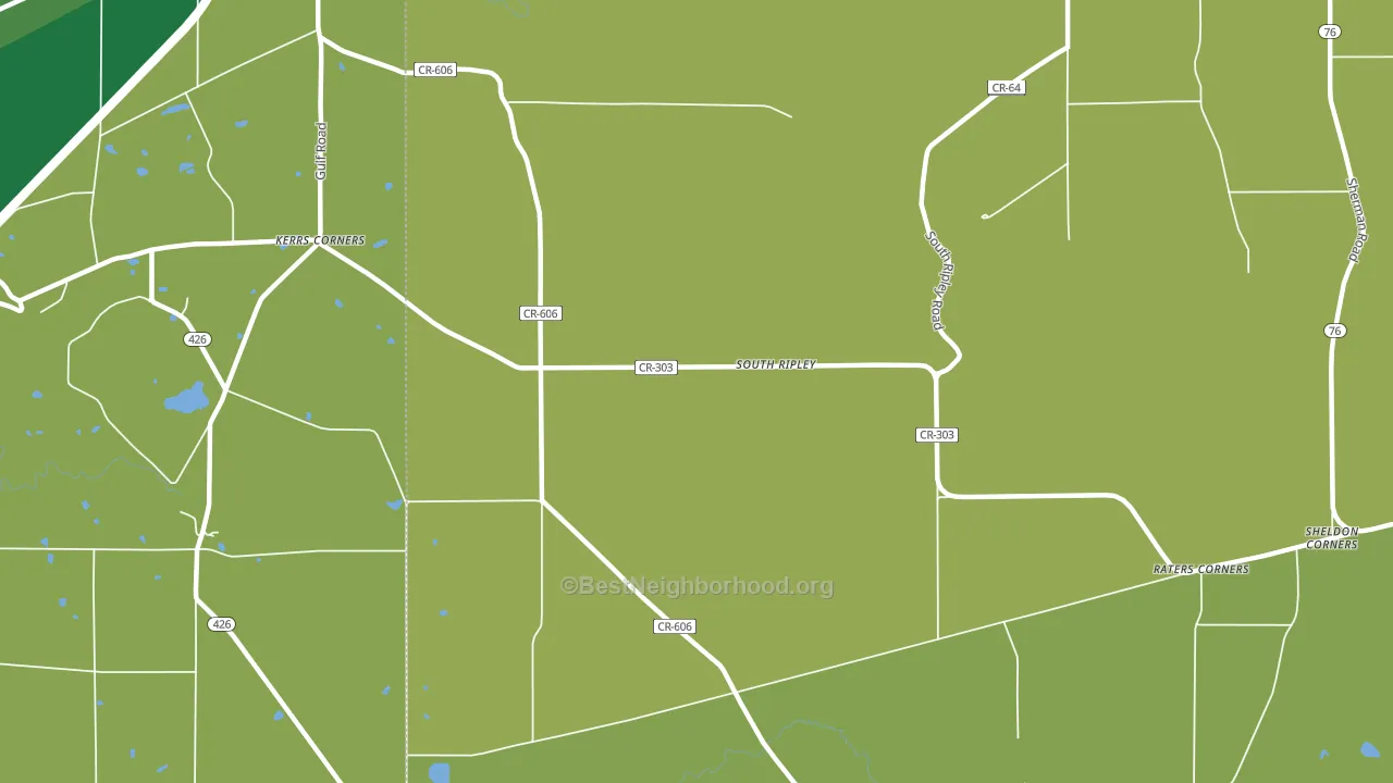 South Ripley, NY block-group voter-turnout map