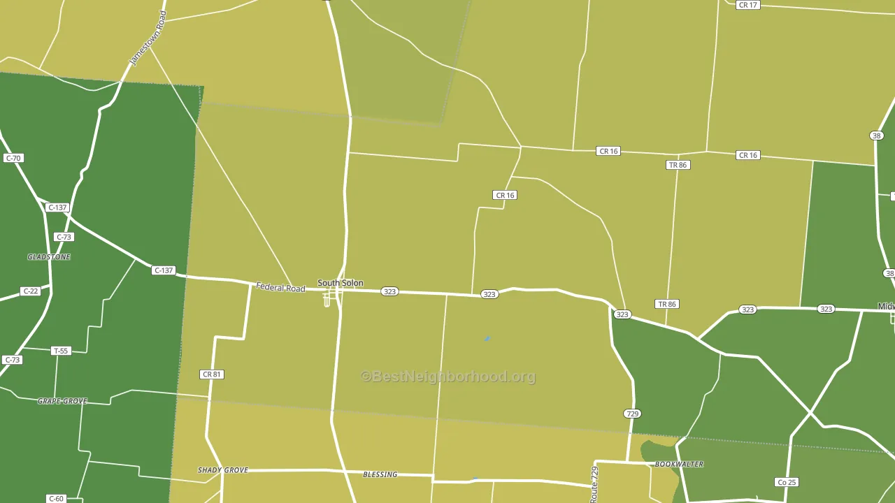 South Solon, OH block-group voter-turnout map