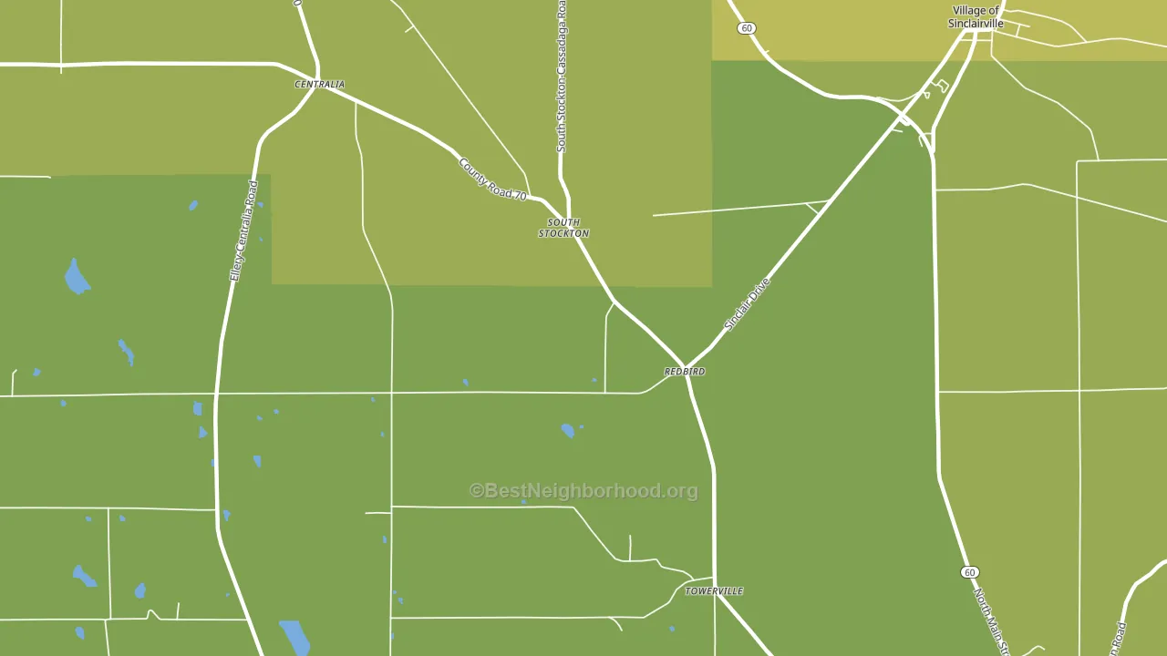 South Stockton, NY block-group voter-turnout map