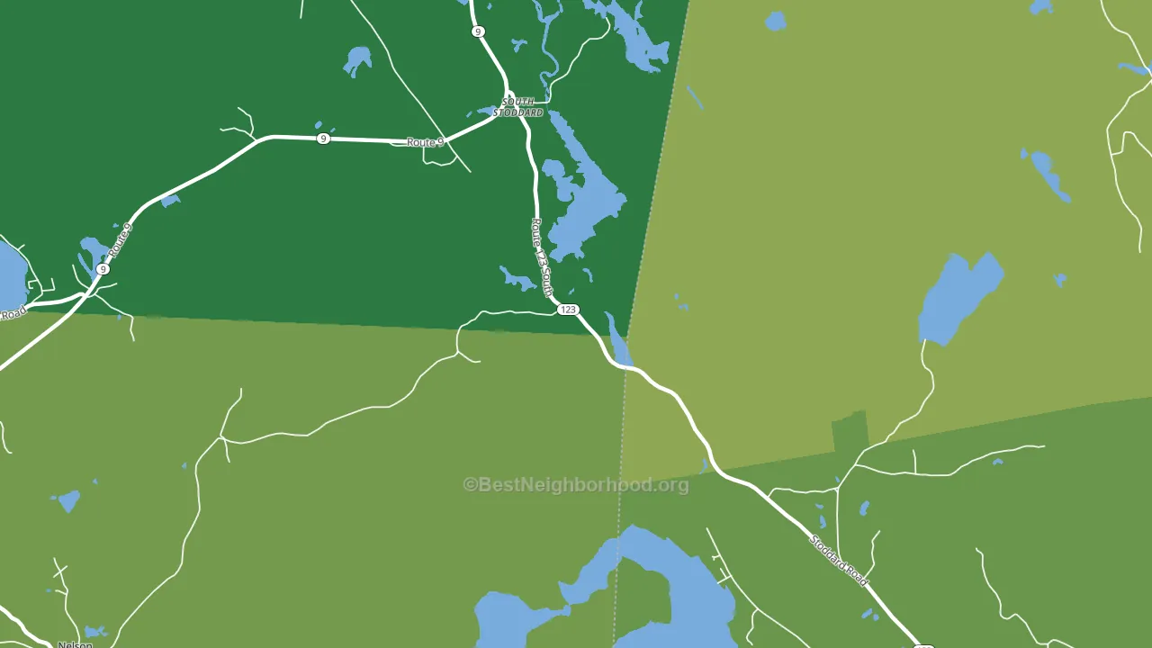 South Stoddard, NH block-group voter-turnout map