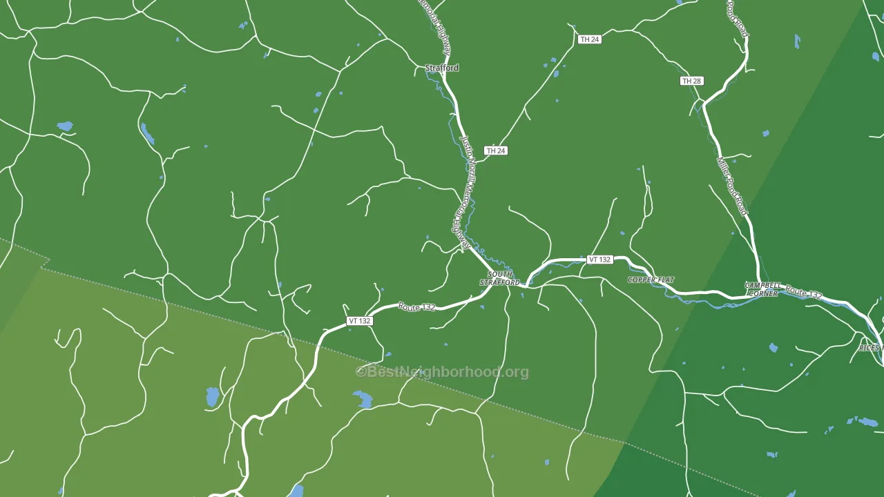 South Strafford, VT block-group voter-turnout map