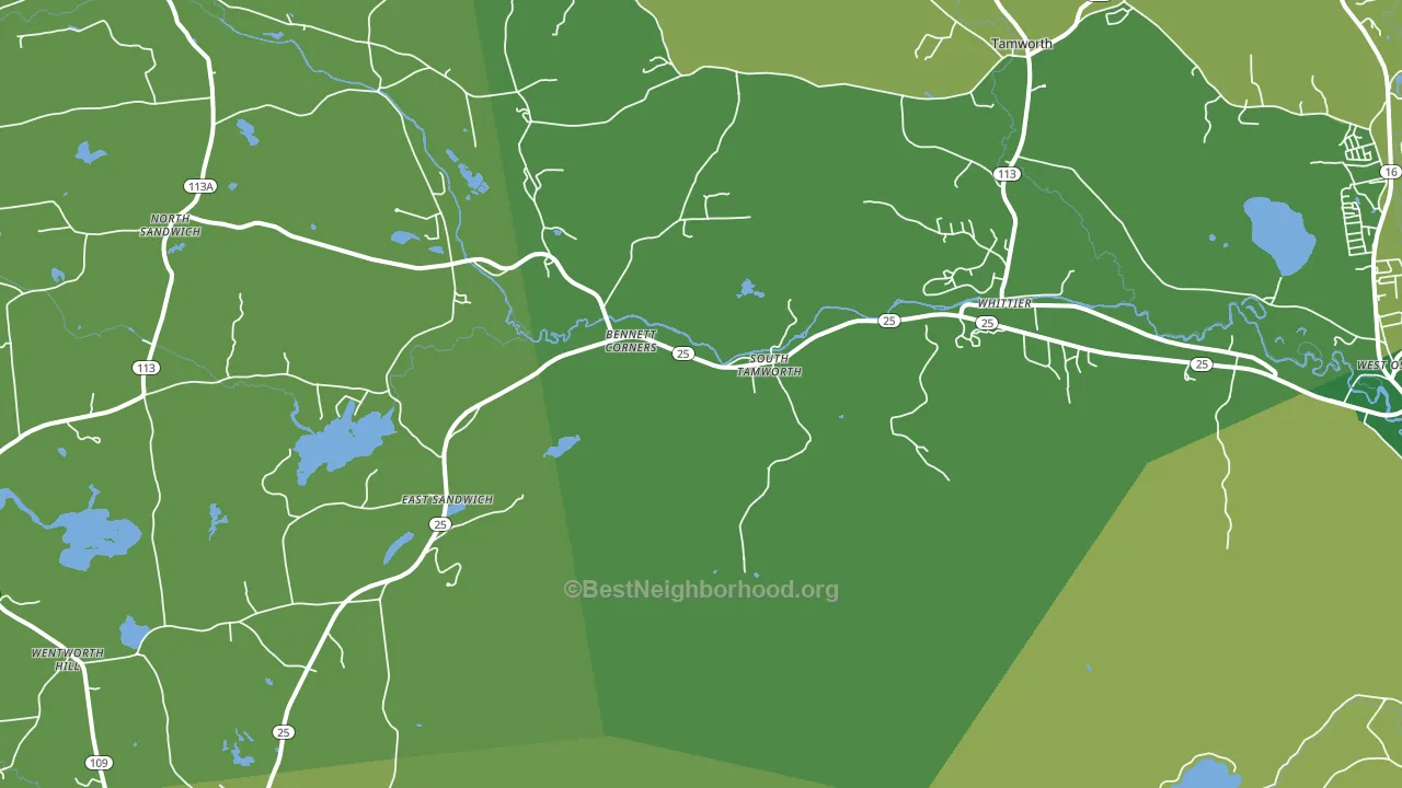 South Tamworth, NH block-group voter-turnout map