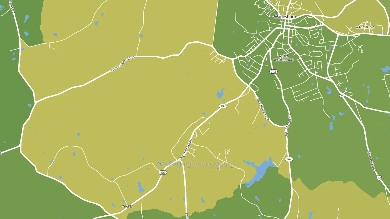 South Wadesboro, NC block-group voter-turnout map