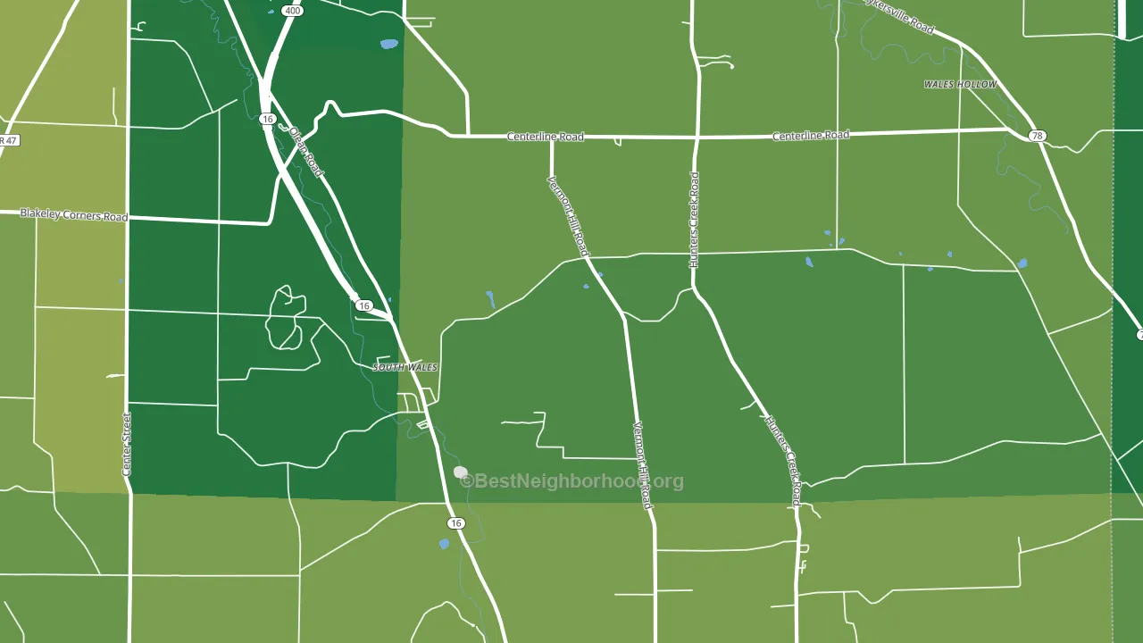 South Wales, NY block-group voter-turnout map