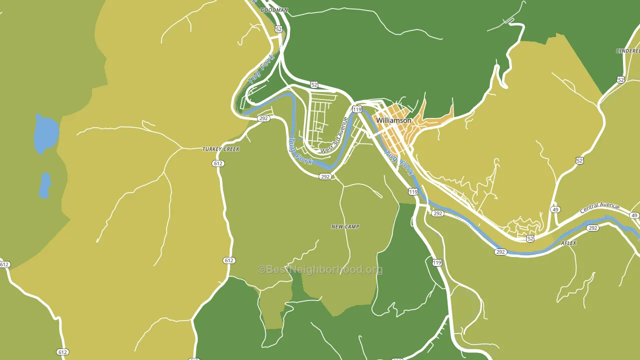 South Williamson, KY block-group voter-turnout map