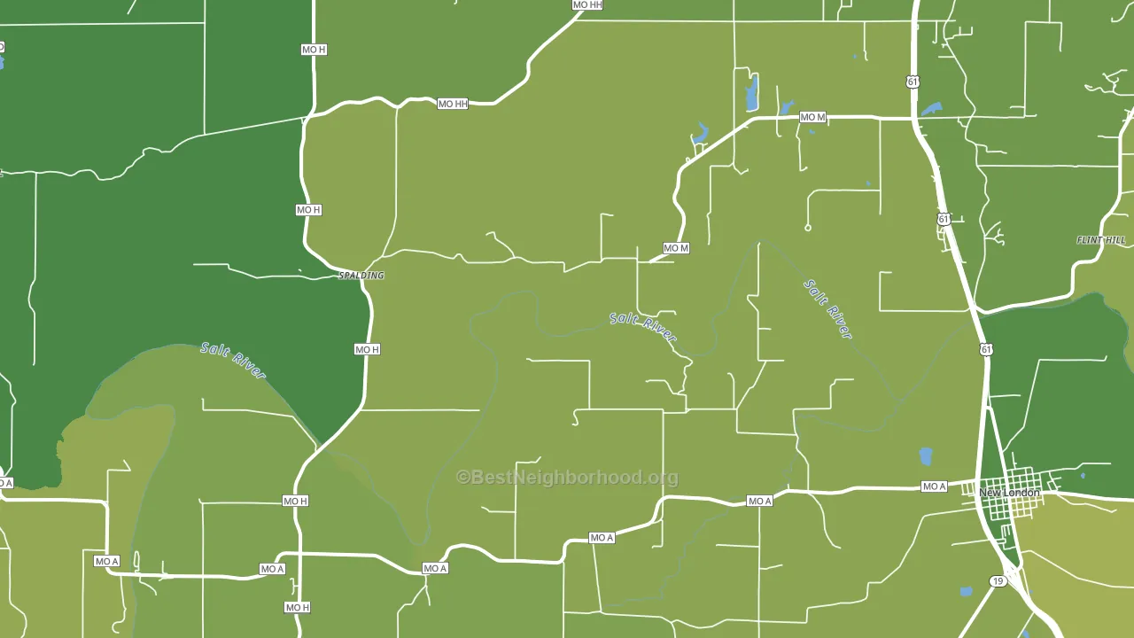 Spalding, MO block-group voter-turnout map