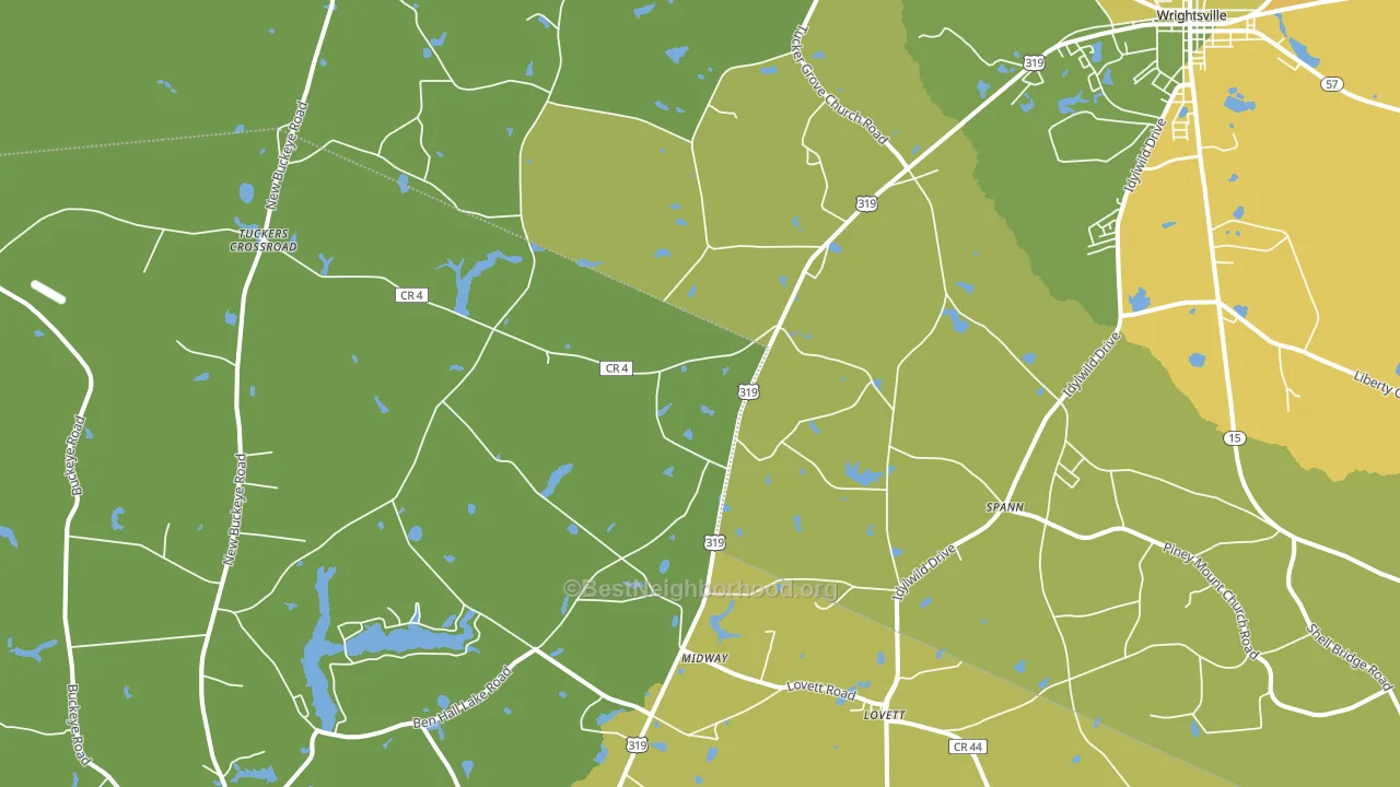 Spann, GA block-group voter-turnout map