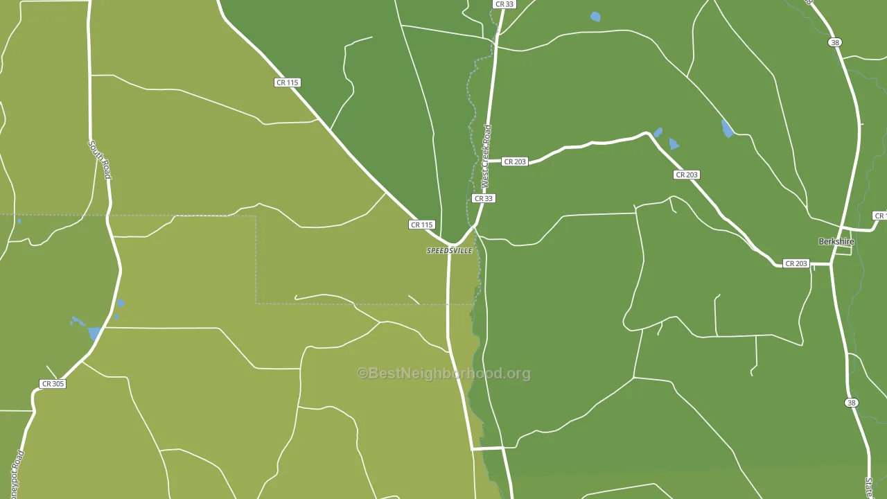 Speedsville, NY block-group voter-turnout map