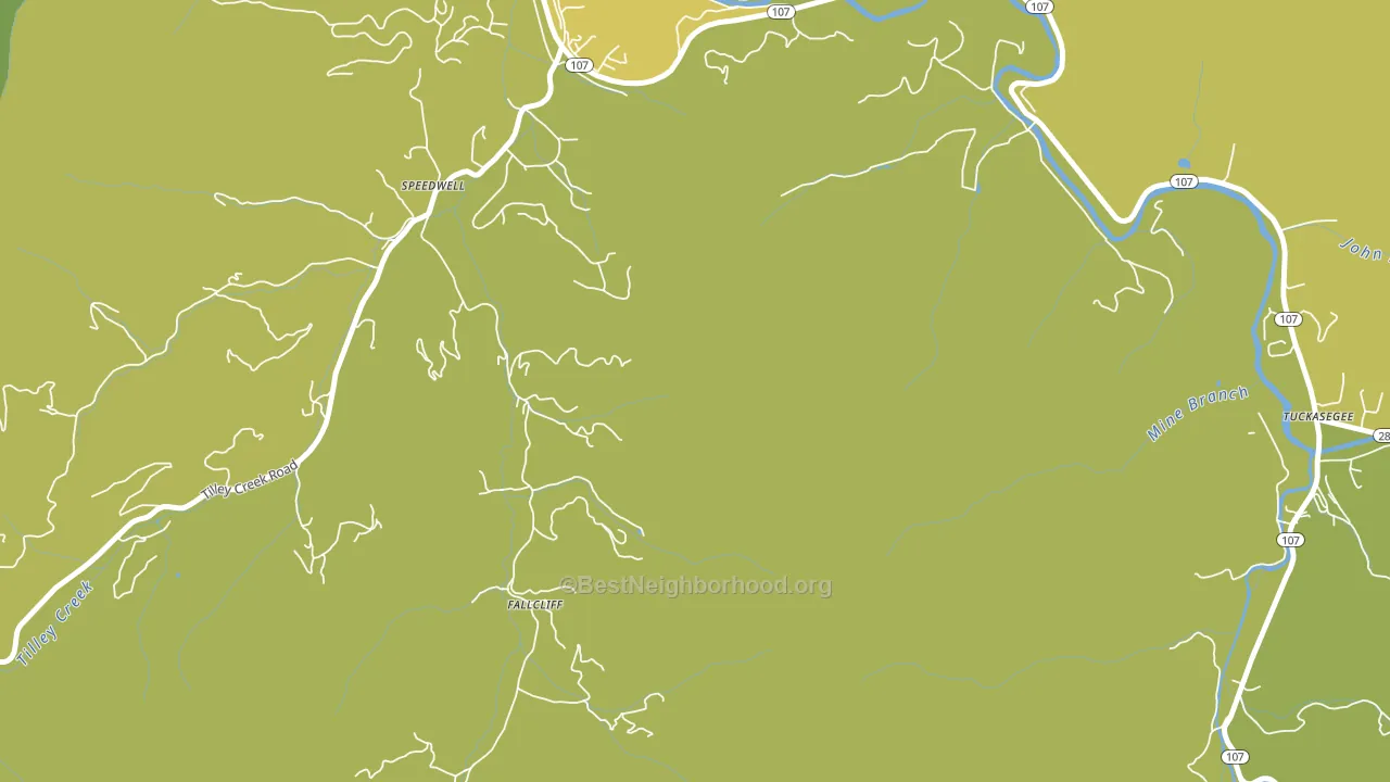 Speedwell, NC block-group voter-turnout map