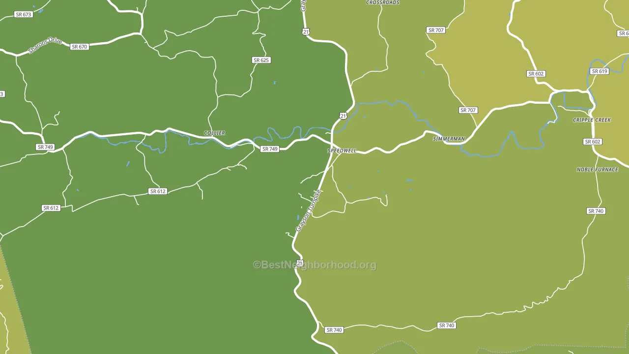 Speedwell, VA block-group voter-turnout map