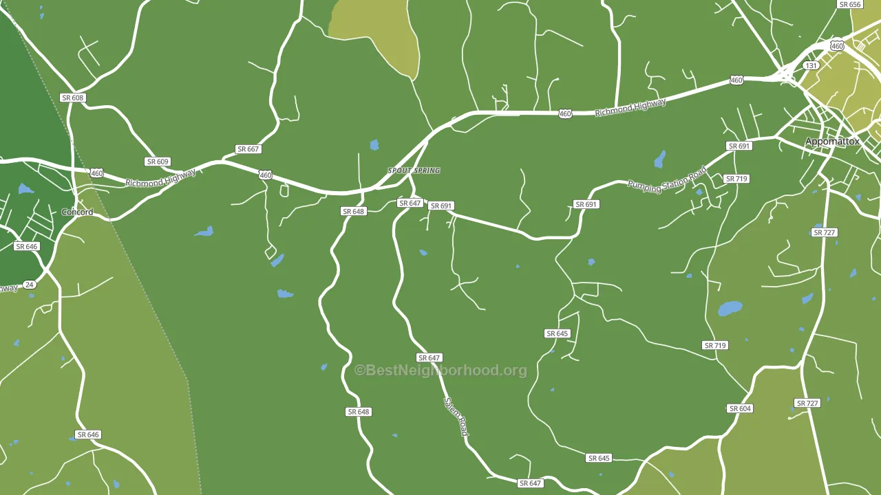 Spout Spring, VA block-group voter-turnout map