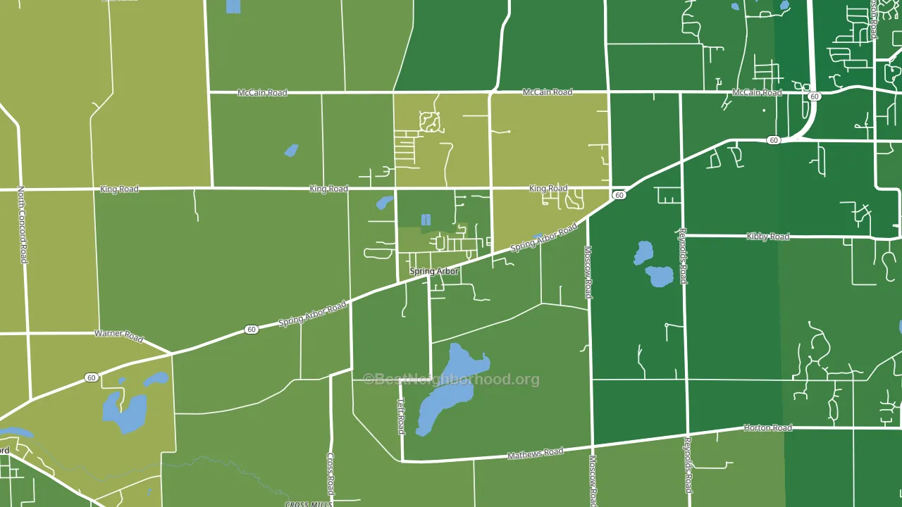 Spring Arbor, MI block-group voter-turnout map