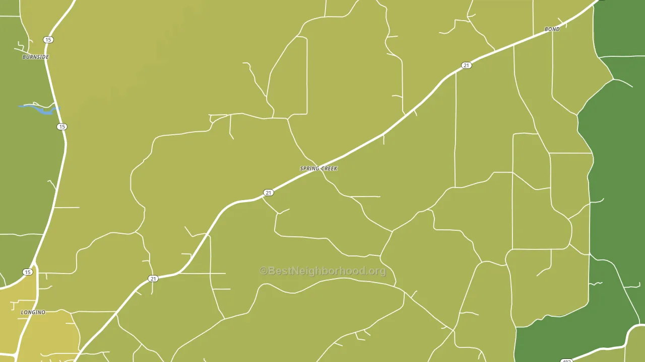 Spring Creek, MS block-group voter-turnout map