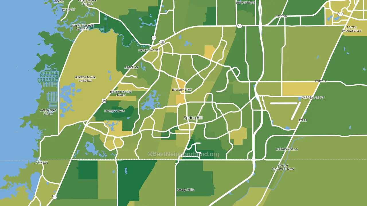 Spring Hill, FL block-group voter-turnout map