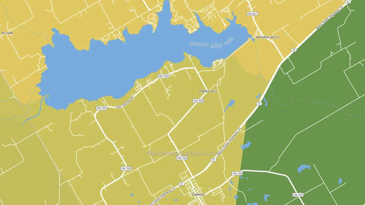 Spring Hill, TX block-group voter-turnout map