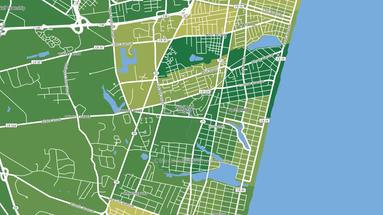 Spring Lake Heights, NJ block-group voter-turnout map