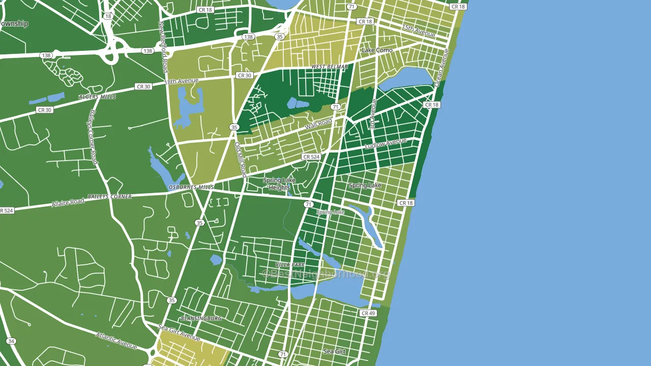 Spring Lake, NJ block-group voter-turnout map