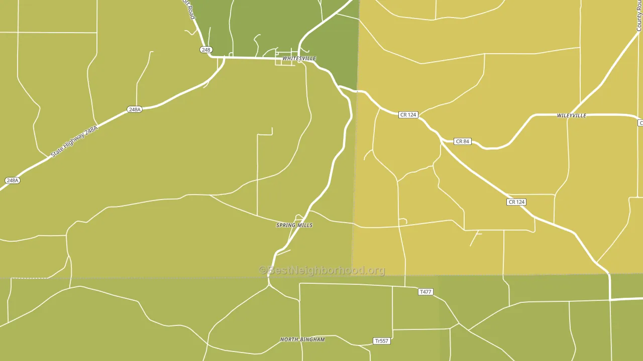 Spring Mills, NY block-group voter-turnout map